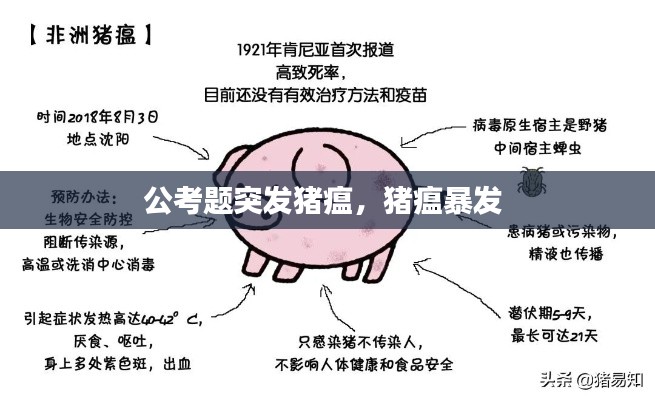 公考题突发猪瘟,猪瘟暴发