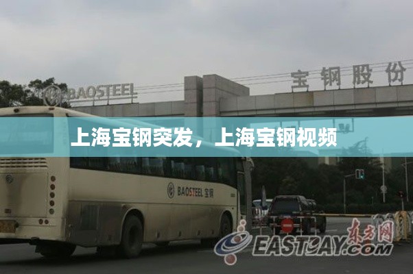 上海宝钢突发,上海宝钢视频