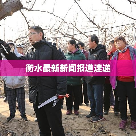 衡水最新新闻报道速递