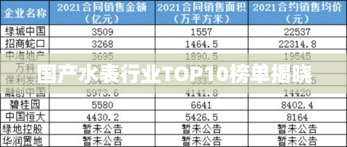 国产水表行业TOP10榜单揭晓