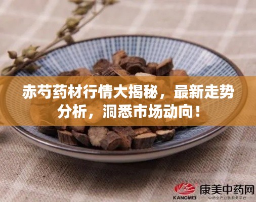 赤芍药材行情大揭秘，最新走势分析，洞悉市场动向！