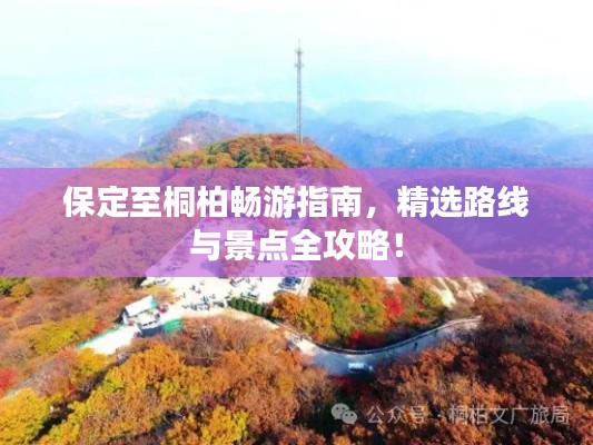 保定至桐柏畅游指南，精选路线与景点全攻略！