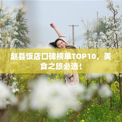 赵县饭店口碑榜单TOP10,美食之旅必选!