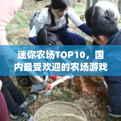 迷你农场TOP10,国内最受欢迎的农场游戏大揭秘