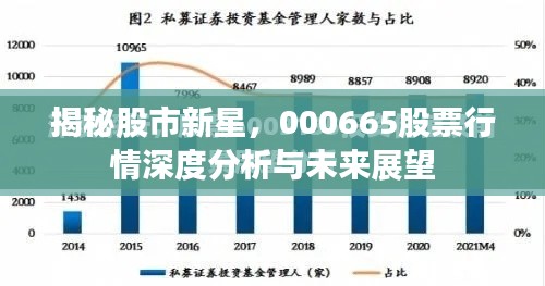 揭秘股市新星，000665股票行情深度分析与未来展望