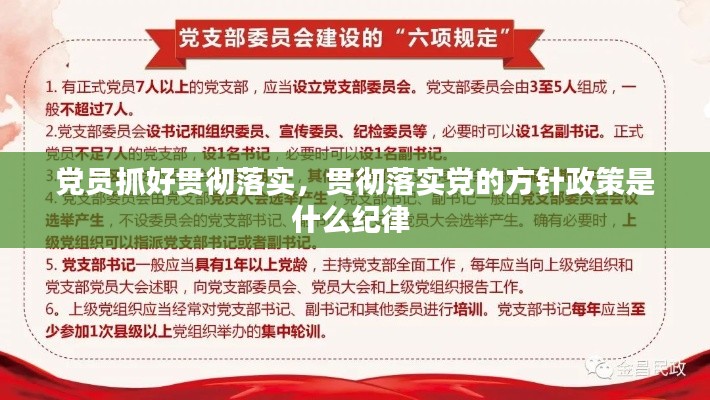 党员抓好贯彻落实,贯彻落实党的方针政策是什么纪律