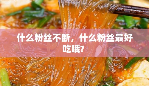 什么粉丝不断,什么粉丝最好吃哦?