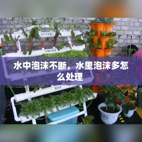 水中泡沫不断，水里泡沫多怎么处理 
