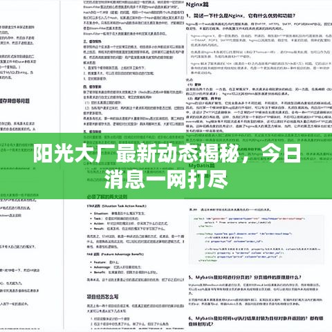 阳光大厂最新动态揭秘,今日消息一网打尽