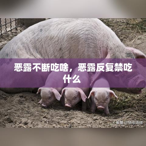 恶露不断吃啥,恶露反复禁吃什么