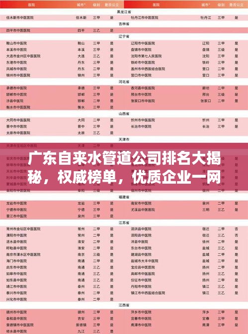 广东自来水管道公司排名大揭秘，权威榜单，优质企业一网打尽！
