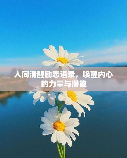 人间清醒励志语录,唤醒内心的力量与潜能