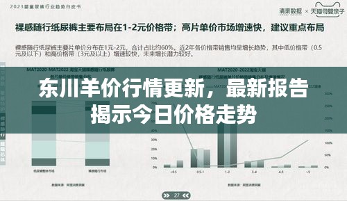 东川羊价行情更新,最新报告揭示今日价格走势