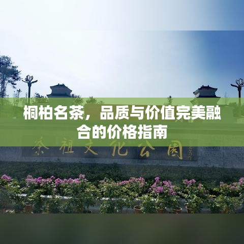 桐柏名茶,品质与价值完美融合的价格指南