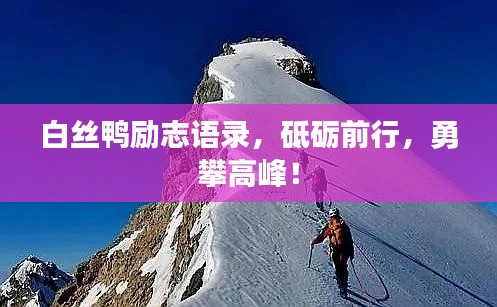 白丝鸭励志语录,砥砺前行,勇攀高峰!
