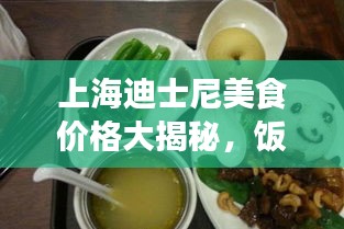 上海迪士尼美食价格大揭秘，饭菜价格概览